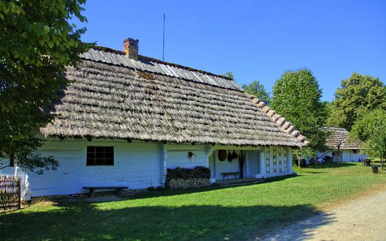 Sanok atrakcje - Saknsen