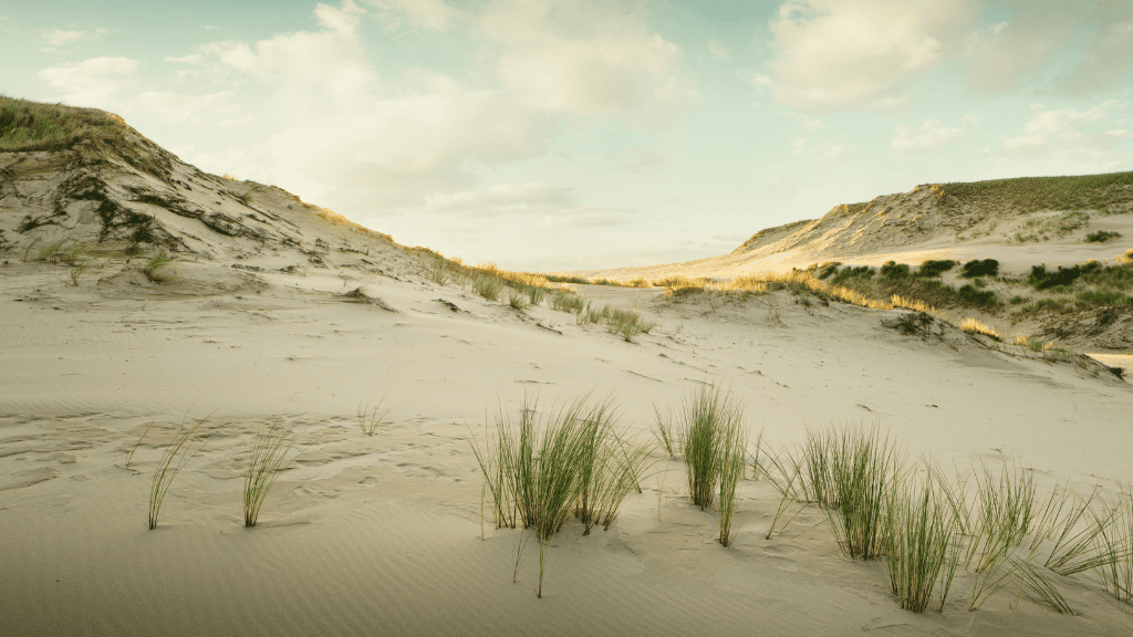 Wydmy - atrakcje w pomorskim