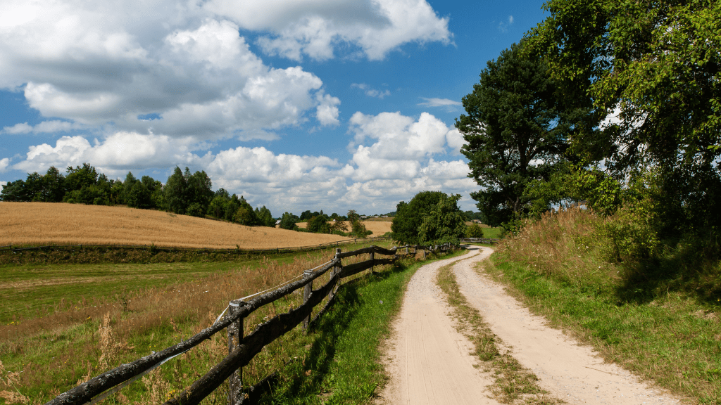 Wiejska droga