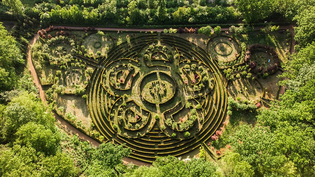 Arboretum Bramy Morawskiej w Raciborzu