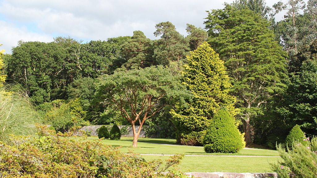 Arboretum w Kopnej Górze