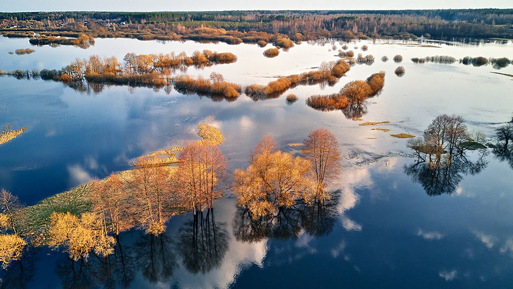 Biebrzański Park Narodowy