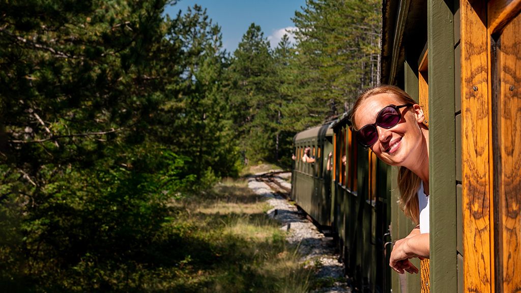 Bieszczadzka Kolejka Leśna