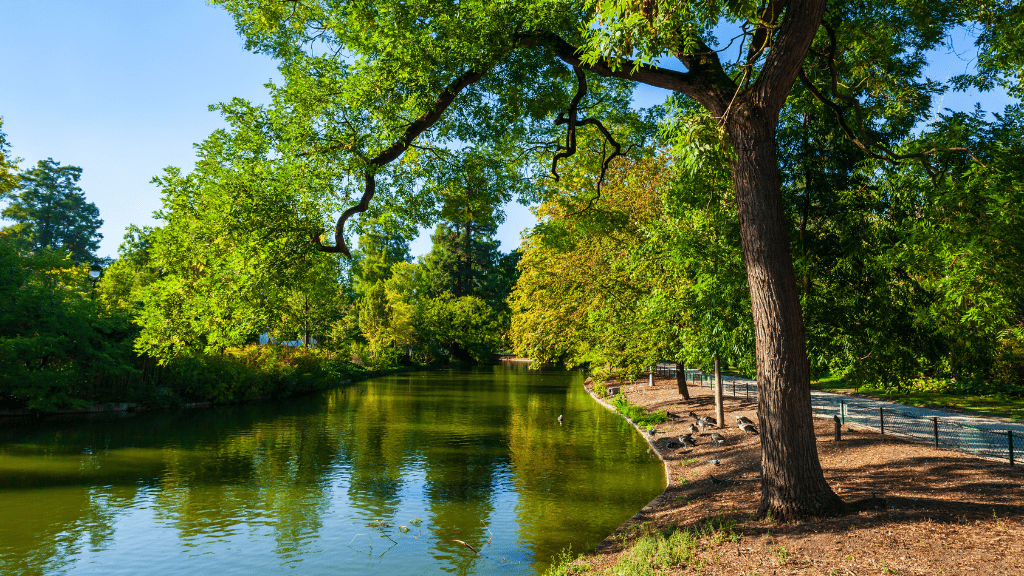 Park i ogród publiczny w Bordeaux