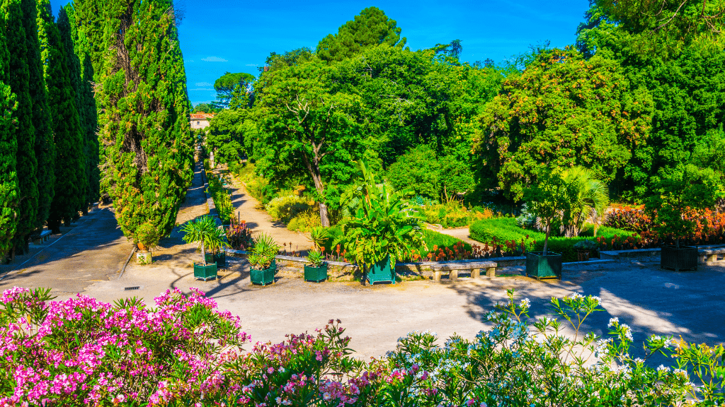 Ogród Botaniczny w Montpellier