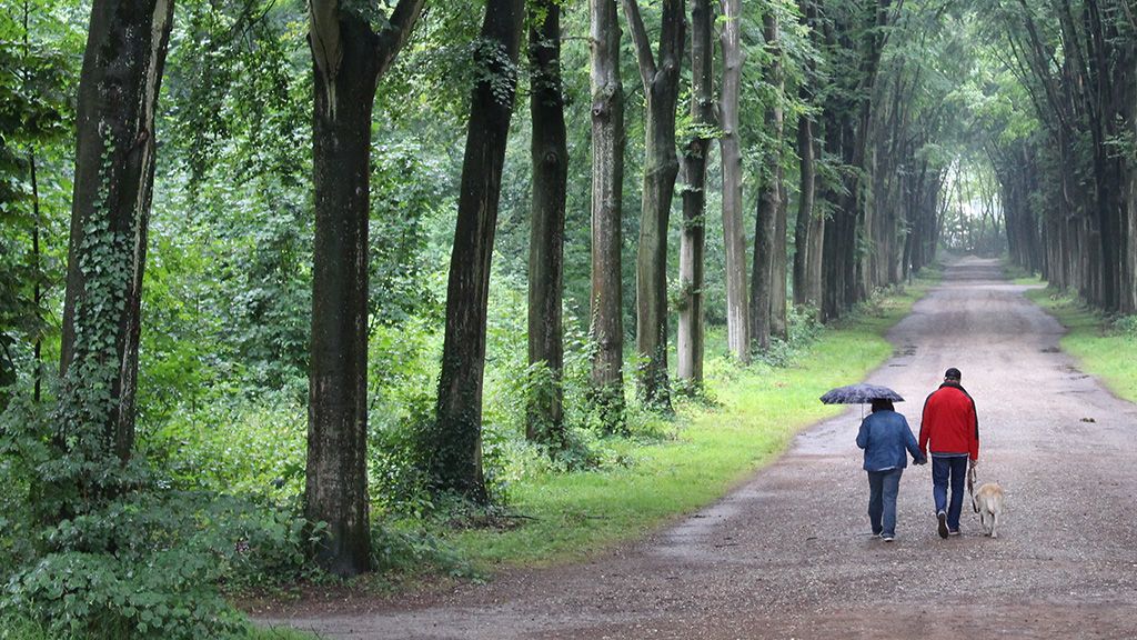 Park Komeńskiego w Ostrawie