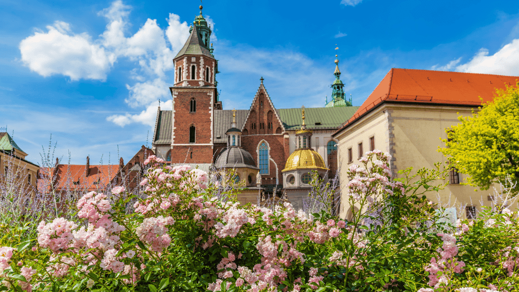 Widok na Wawel