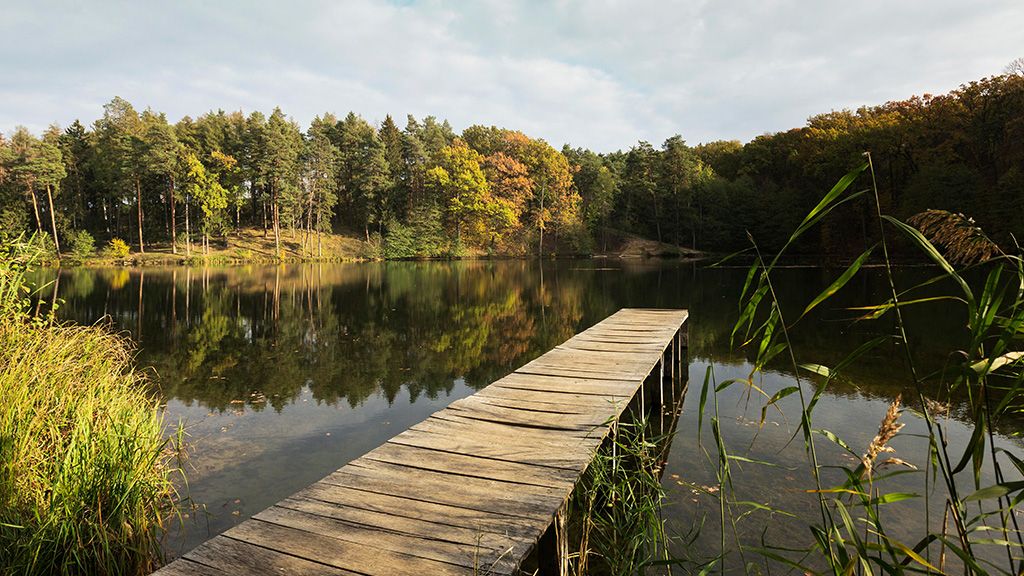 Narwiański Park Narodowy