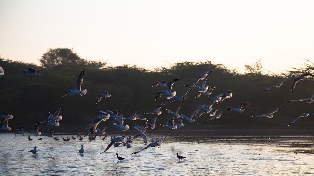 Park Narodowy Ujście Warty