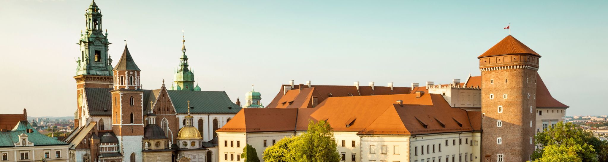 zdjęcie: panorama Krakowa, widok na Wawel