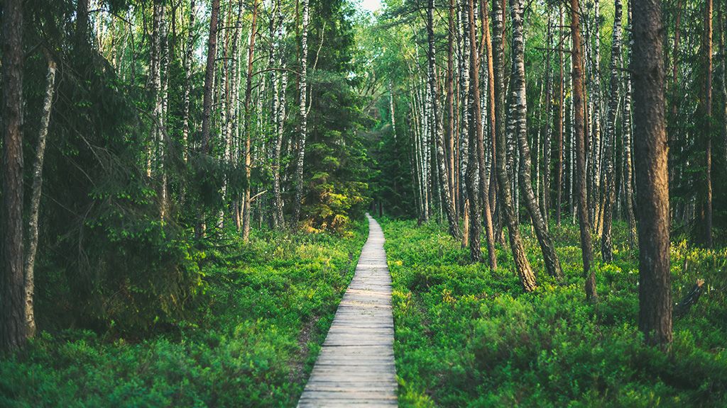 Wigierski Park Narodowy