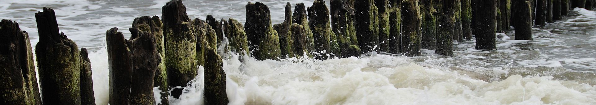 Pendolino - bilety kolejowe