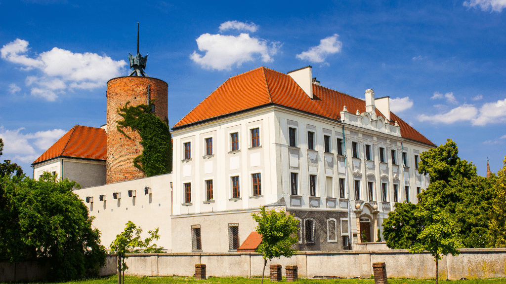zamek w Głogowie